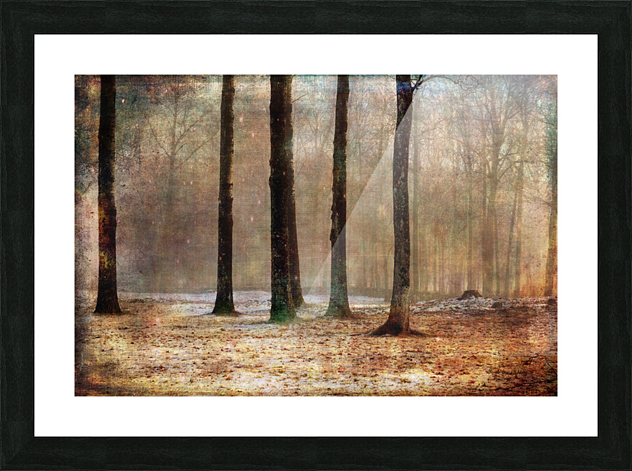 Mystery Forest Picture Frame print