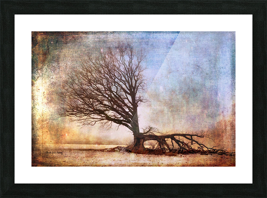 The Lost Fight Picture Frame print