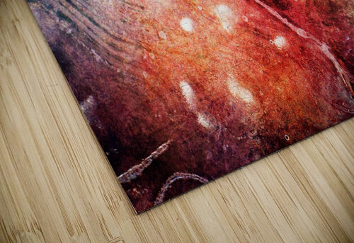 Looking Down Randi Grace Nilsberg puzzle
