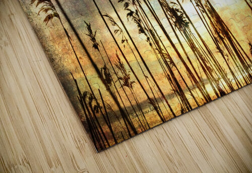 Apricity Randi Grace Nilsberg puzzle