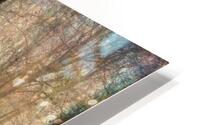 Mystery Forest HD Metal print