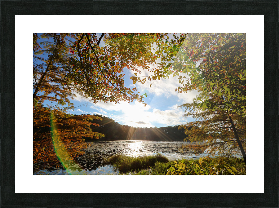  Fine Art print