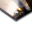 Tree Stump Snap By The Shoreline Acrylic print