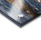 Canada Geese And Rapids Acrylic print