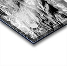 Tanyard Creek Rushing Water Grayscale Acrylic print