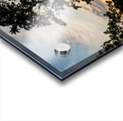 Curvy Tree Golden Sunset Acrylic print