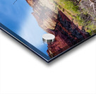 Dead Tree Colorado River Utah Acrylic print