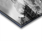 Dead Tree Colorado River Utah Grayscale Acrylic print