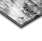 Kimberling City Bridge Missouri Grayscale Acrylic print