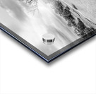 Juniper Along Mesa Arch Trail Grayscale Acrylic print