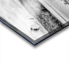 Hawk Over Little Golden Gate Grayscale Acrylic print