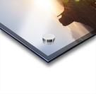 Yellow Flowers Monument Valley Sunrise Acrylic print