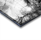 Omaha Skate Park Golden Sun Star Grayscale Acrylic print