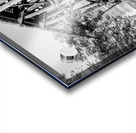 Path Under Old Railroad Bridge Grayscale Acrylic print