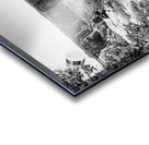 Crooked Tree At Spider Rock Grayscale Acrylic print