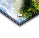 Rope Swing Big Spring Arkansas Acrylic print