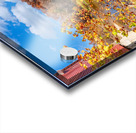 Rockbridge Mill Dam View Acrylic print