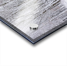 Snowy Forest Acrylic print