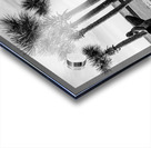 Paved Walkway To Pensacola Beach Grayscale Acrylic print