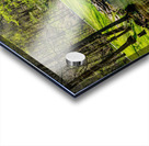 Green Spring Tranquility Acrylic print