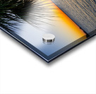 Gulf Breeze Palm Tree And Sailboat Sunset Acrylic print