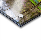 Walking Path On Spring Season Day Acrylic print