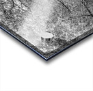 Spring Season Zen Garden Grayscale Acrylic print