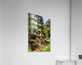 Colorado Forest Creek And Mountains Acrylic Print