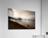 Tree Stump Snap By The Shoreline Acrylic Print