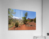 Professor Creek Utah Hiking Trail Acrylic Print