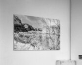 Dead Tree Colorado River Utah Grayscale Acrylic Print