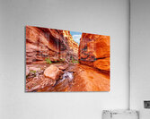 Small Waterfall Mary Jane Canyon Acrylic Print