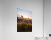 Yellow Flowers Monument Valley Sunrise Acrylic Print