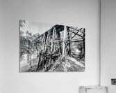 Path Under Old Railroad Bridge Grayscale Acrylic Print