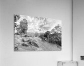 Pikes Peak View Behind Siamese Twins Grayscale Acrylic Print