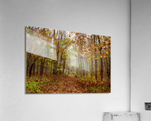 Autumn Bliss Acrylic Print