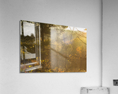 Spiderweb Forest Sunrise Acrylic Print