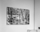 Spring Season Tranquility Grayscale Acrylic Print