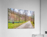 Walking Path On Spring Season Day Acrylic Print