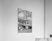 Spring Season Zen Garden Grayscale Acrylic Print