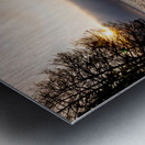 Tree Stump Snap By The Shoreline Metal print