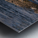 Canada Geese And Rapids Metal print