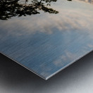 Curvy Tree Golden Sunset Metal print