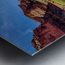 Dead Tree Colorado River Utah Metal print