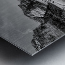 Dead Tree Colorado River Utah Grayscale Metal print