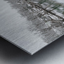 Snowing At The Finley River Metal print