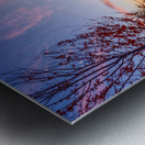 Pink Sunrise At Farnam Pier Metal print