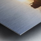 Yellow Flowers Monument Valley Sunrise Metal print