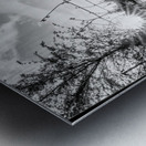 Omaha Skate Park Golden Sun Star Grayscale Metal print