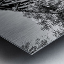 Path Under Old Railroad Bridge Grayscale Metal print